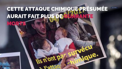 Conflit en Syrie : retour en vidéo sur les frappes aériennes occidentales
