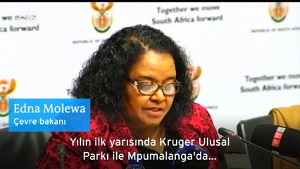 Tüm çabalara rağmen kaçak avcılık önlenemiyor; gergedan boynuzu karaborsada!