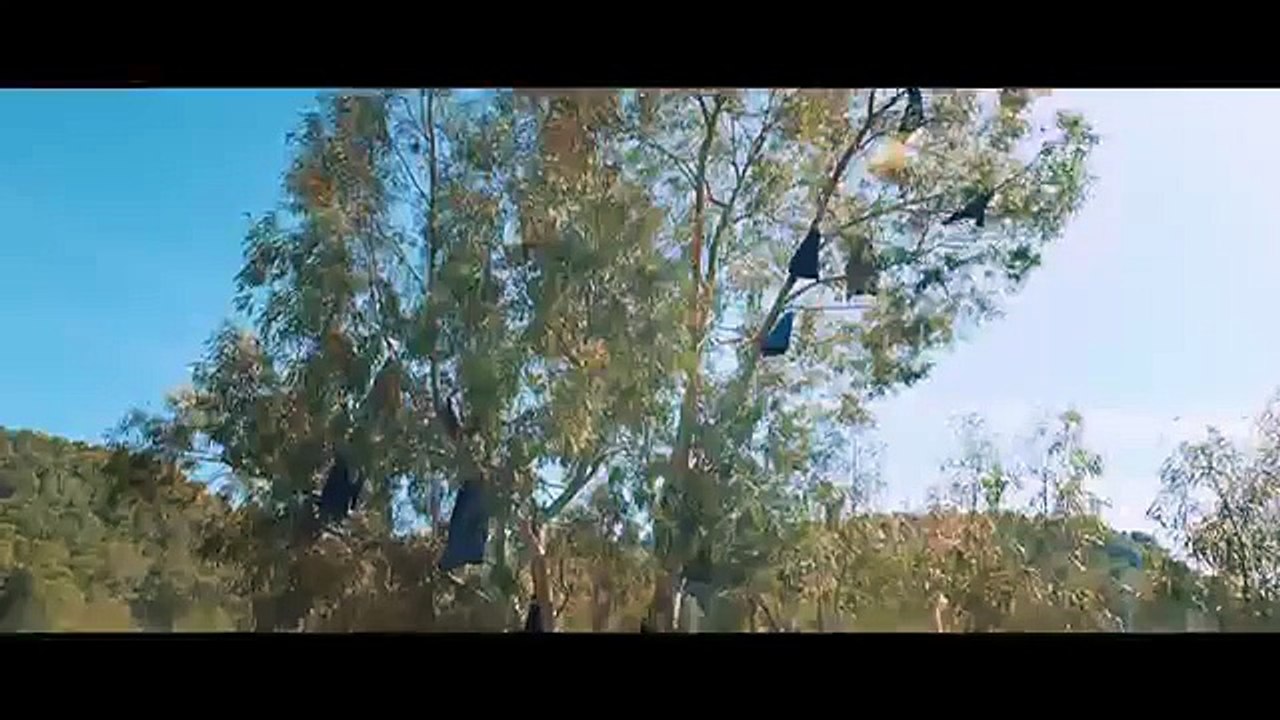 Sen benden gittin gideli: Erkan Oğur 'Mezarcı' filmi için söyledi