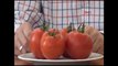 Rusya'ya domates yiyerek tepki gösterdiler