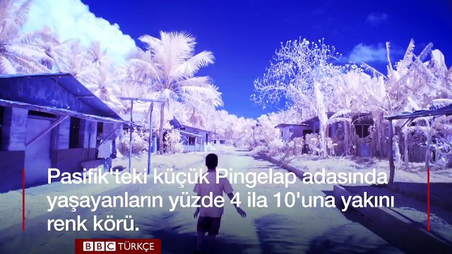 Renk körü adanın 'gerçeküstü' renkleri