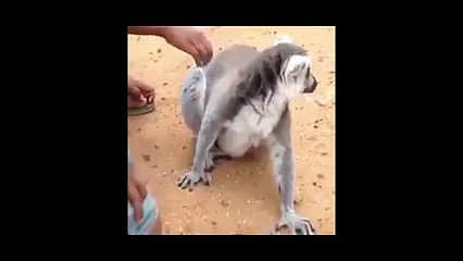 Kim sevilmek istemez ki?