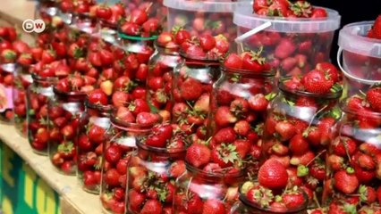 Meyvelerin tadı nereden geliyor?