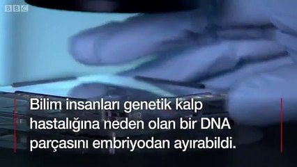 Bilim dünyasında bir ilk; kalp hastalığına &#39;genetik tamir&#39; tedavisi