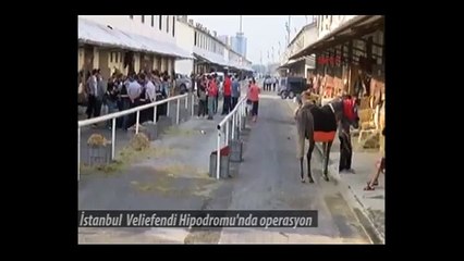 İstanbul Veliefendi Hipodromu'nda operasyon