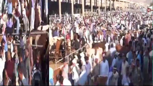 Kurban pazarlarında hareketlilik