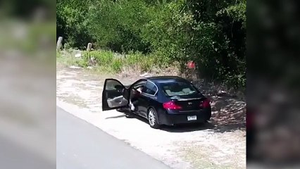 Köpeğini yol kenarına bırakıp kaçtı!