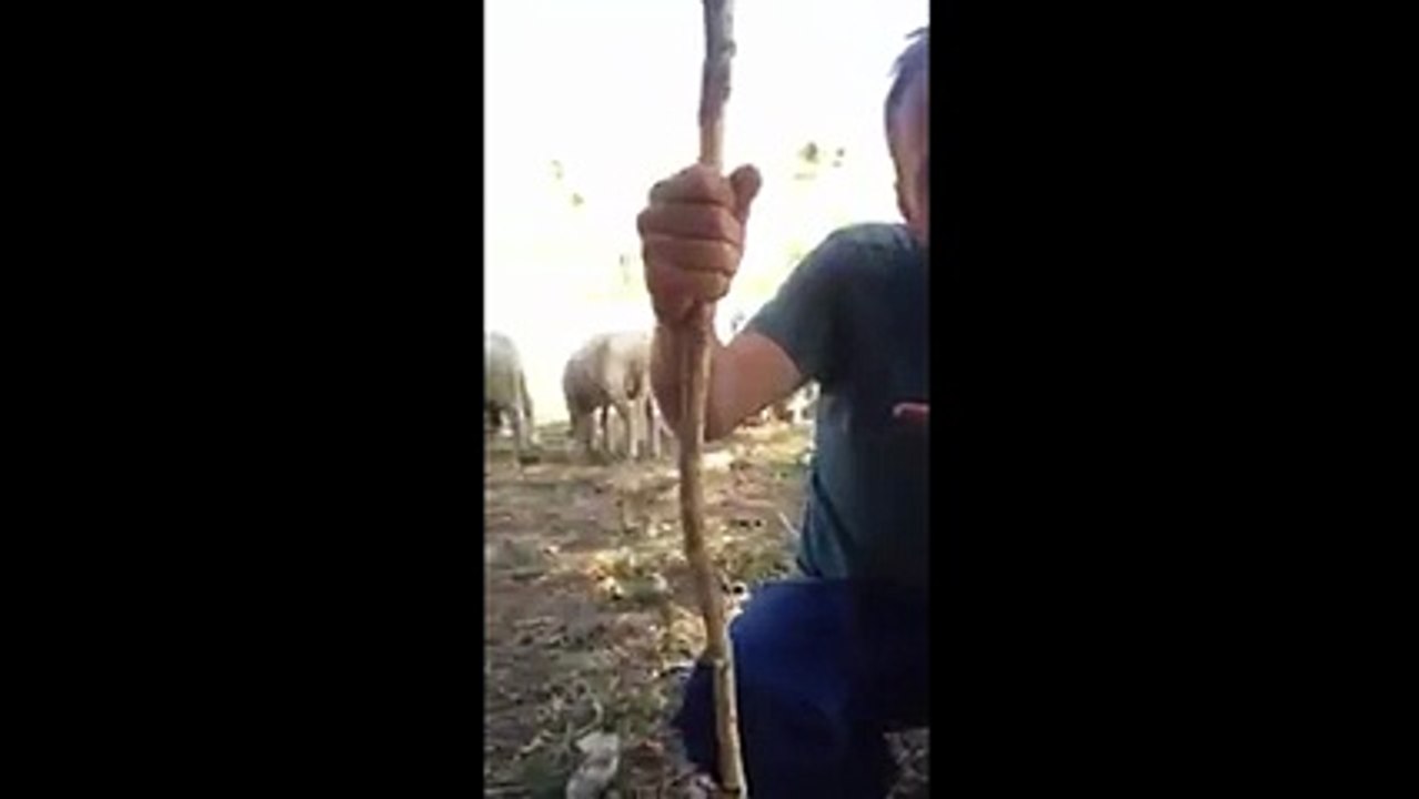 "Artık atanamayan öğretmen yok, torpili olmayan öğretmen var"