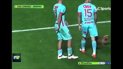 Maç esnasında sahaya giren köpek, futbolcularla oynamak istedi