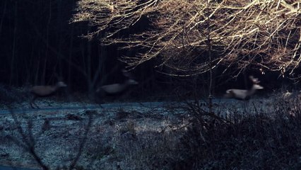 İZ (Pokot) film fragmanı