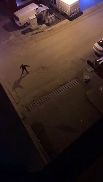 sokak köpeğine atarlanan sarhoş
