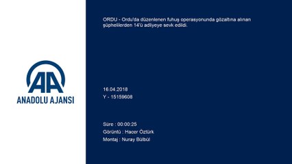 Fuhuş operasyonu - ORDU