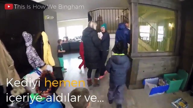 Donmak üzere olan yavru kediyi böyle hayata döndürdüler