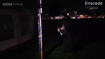 Hollanda&#39;da İslam ve göçmen karşıtı Pegida üyeleri, domuz kanıyla cami inşaatını protesto etti