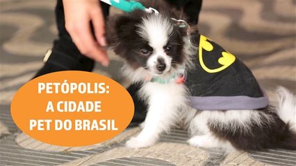 Petópolis: um evento para você se divertir com seu animal de estimação