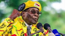Robert Mugabe: Taraftarlarına göre 'bağımsızlık kahramanı', muhaliflere göre ise 'iktidarda kalmak için her şeyi kitabına uyduran lider'