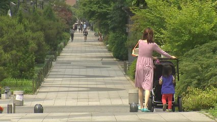 "미세먼지 태아에 악영향"...해결 방법은 '녹지' / YTN