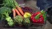 COBAYAS - ¿Qué verduras y frutas pueden comer las cobayas?