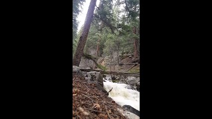 Ormanlık alanda yoga yapmak istedi, kendini dere içinde buldu!