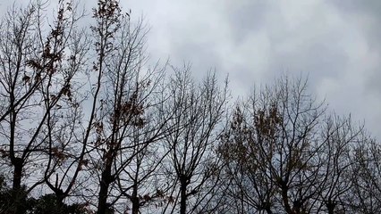 EDR March #11 Two Helicopters 2017