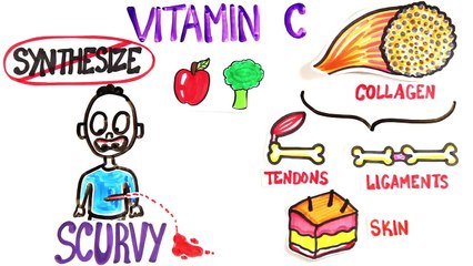 Sadece et yiyerek hayatta kalmak mümkün mü?
