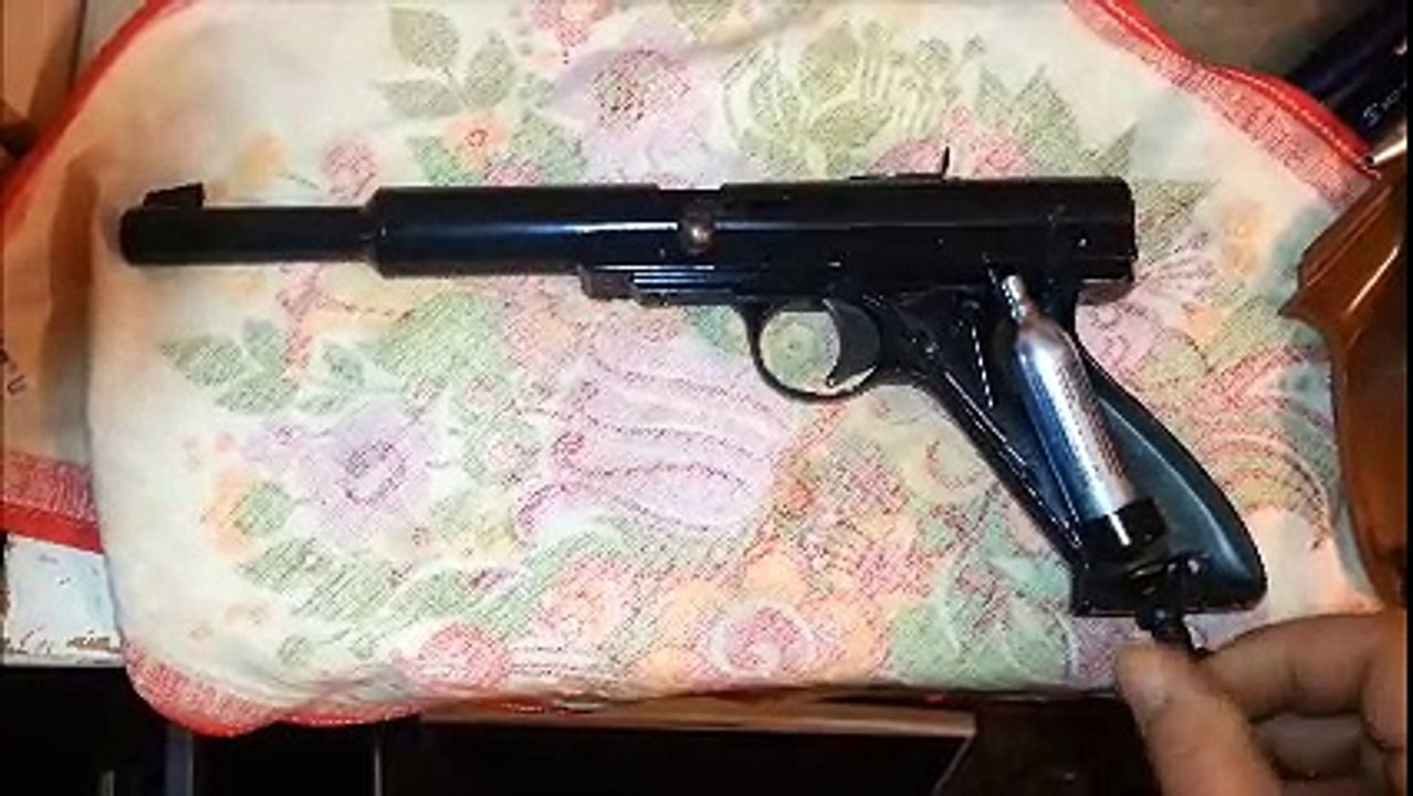 Daisy critter gitter cal.38 co2 schrotpistile