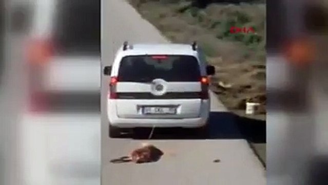 Köpeği aracın arkasına bağlayıp sürükledi!