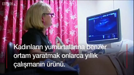 Laboratuvarda büyütülen ilk insan yumurtası gelecekte doğurganlığa yardımcı olabilir