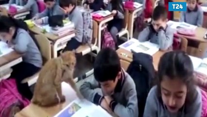 Yalnızca bir veli istemediği için uzaklaştırılmıştı; &#39;Tombi&#39; sınıfa geri döndü!