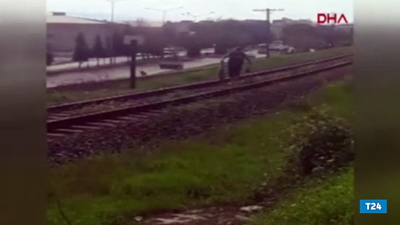 Köpekleri iple raylara bağlayıp, ölüme terk ettiler!