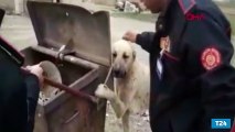Çöp kutusuna ayağı sıkışan köpek böyle kurtarıldı
