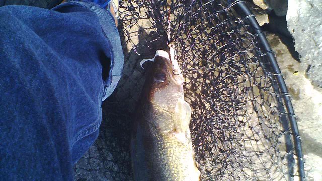 282. FISHING FOR THE BIG ONES.