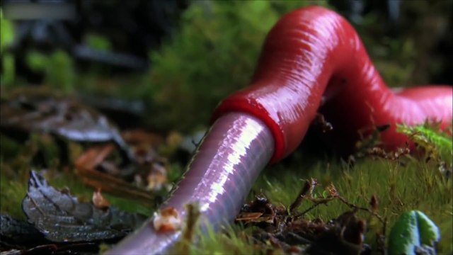 10 САМЫХ МЕРЗКИХ ВИДЕО ЮТУБА