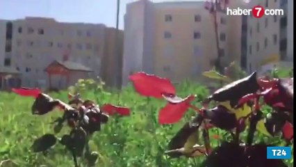 İmam hatiplilerden Cumhurbaşkanı Erdoğan'a davet: Çay soğutmaya gelmez Reis