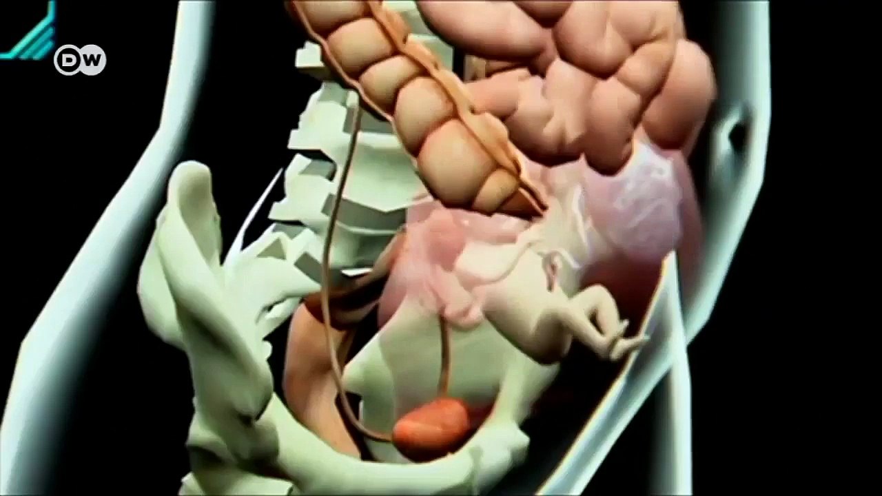 Sanal ortamda ebelik eğitimi