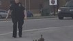 Kentucky Police Officer Helps Ducks Cross the Road