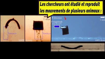 Bientôt pour nous soigner, un mini-robot dans notre corps !