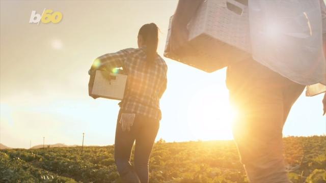 Avoiding These 5 Grocery Shopping Mistakes Will Help You Stick to Your Budget