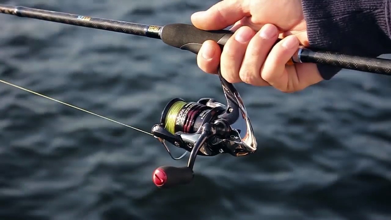 Erfolgreich auf Meerforelle angeln | GEWINNSPIEL | hechtundbarsch.de