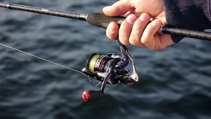 Erfolgreich auf Meerforelle angeln | GEWINNSPIEL | hechtundbarsch.de