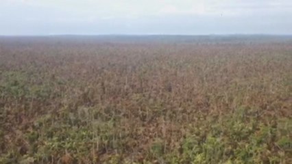 Indígenas señalan a "mestizos" por incendio en reserva de Nicaragua