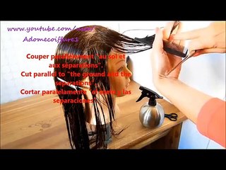 2-Coupe cheveux longue dégradée en Cascade V/Long layered V haircut/Corte de pelo en capas largo V