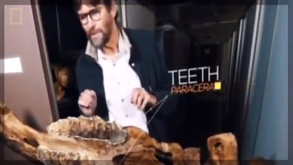 - Documentary National Geographic Biggest Dinosaur Ever & More! WHEN THE EARTH WAS A LAND OF GIANT