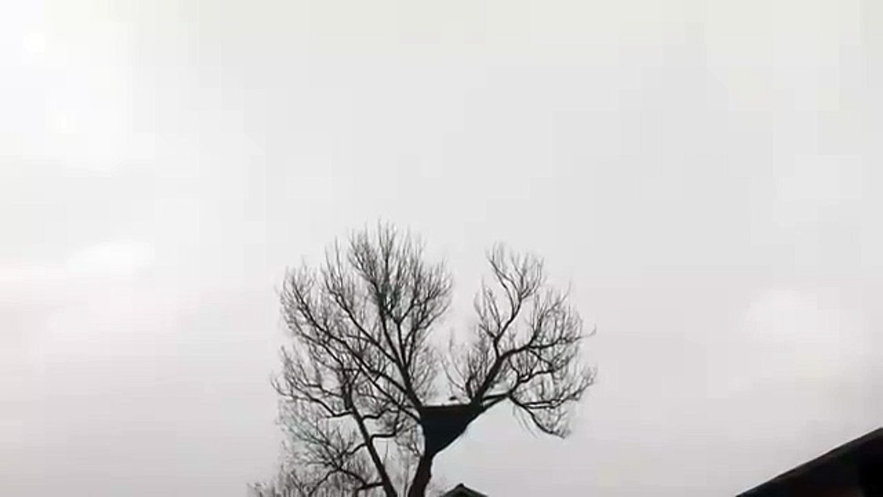 Piorun uderza w gniazdo bociana! Lightning strikes the stork's nest