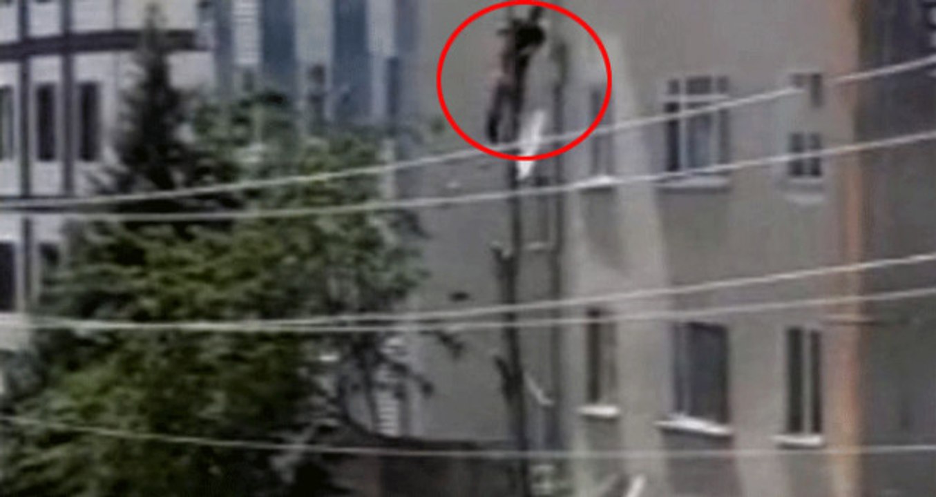 Metrelerce Yükseklikte Tek Eliyle Tutunup Nacakla Budama Çalışması Yaptı