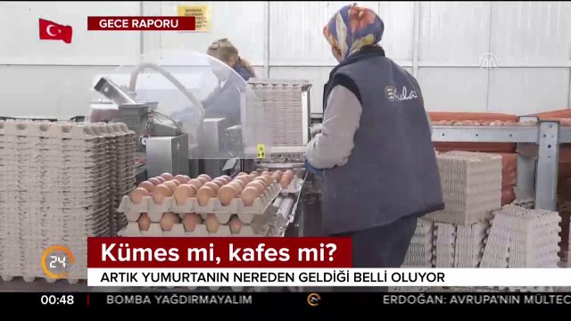 Kümes mi kafes mi?