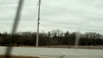 Video captures power lines crossing and flashing in blizzard winds