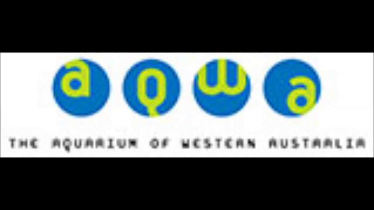 AQWA
