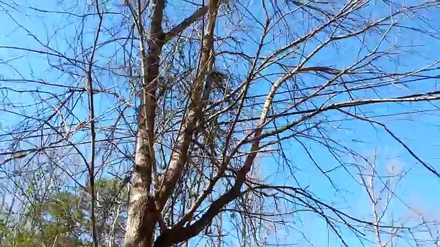 Metal Detecting Worlds Largest Coin Spill!! $50K Penny Spill In Henry Creek!!!!