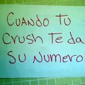 Cuando tu crush te da su numero! - Vines en Español #155